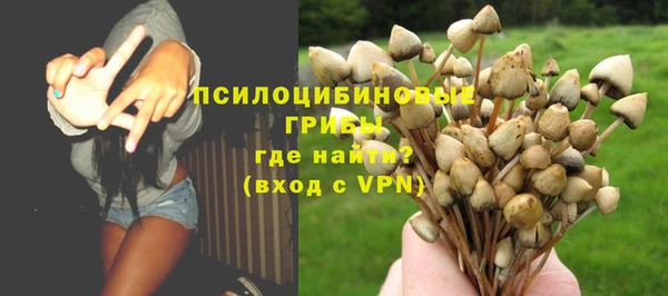 сатива Балабаново
