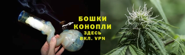 сатива Балабаново
